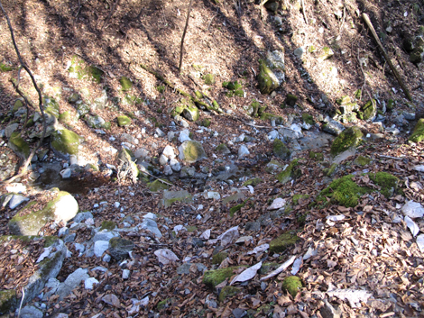 20161206hike (361)